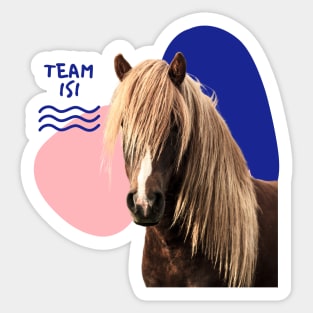 Team ISI Sticker